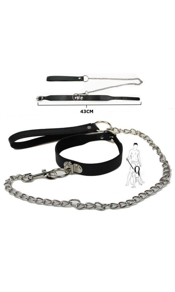 Halsband metalen riem