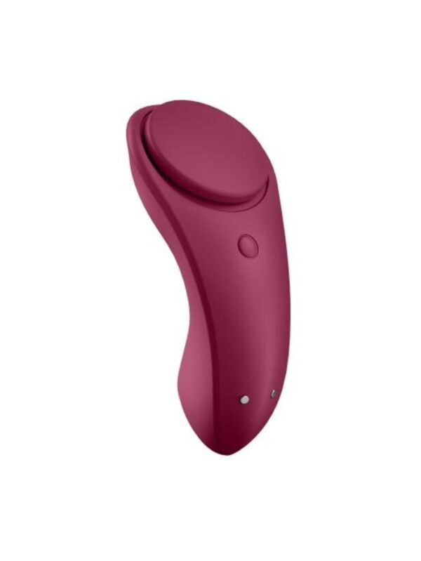 Satisfyer Sexy Secret Panty Vibrator