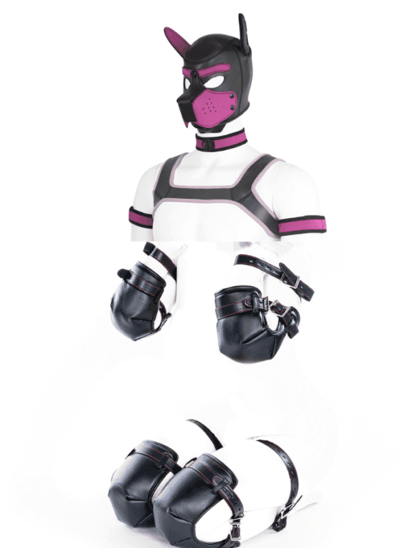 Petplay Deluxe 12-delige dog puppy set