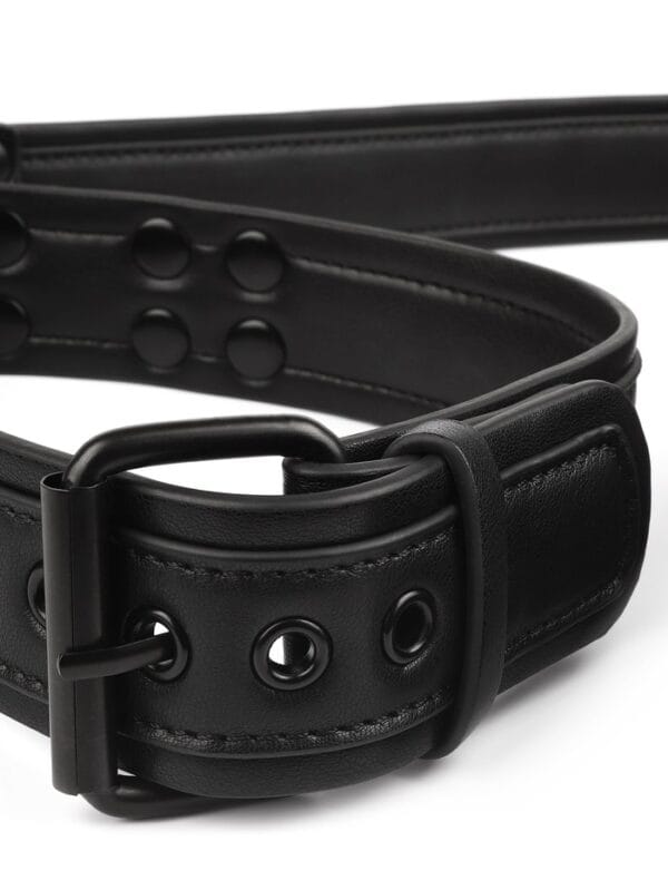 collar met leash